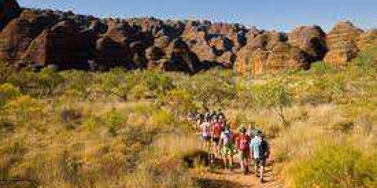 Unveiling the Wonders: Discover the Best Australian Outback Tours